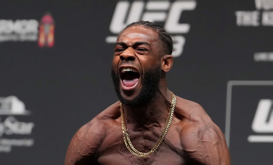 Aljamain Sterling | UFC Fighter Poster | MMA Wall Art - Sports Poster