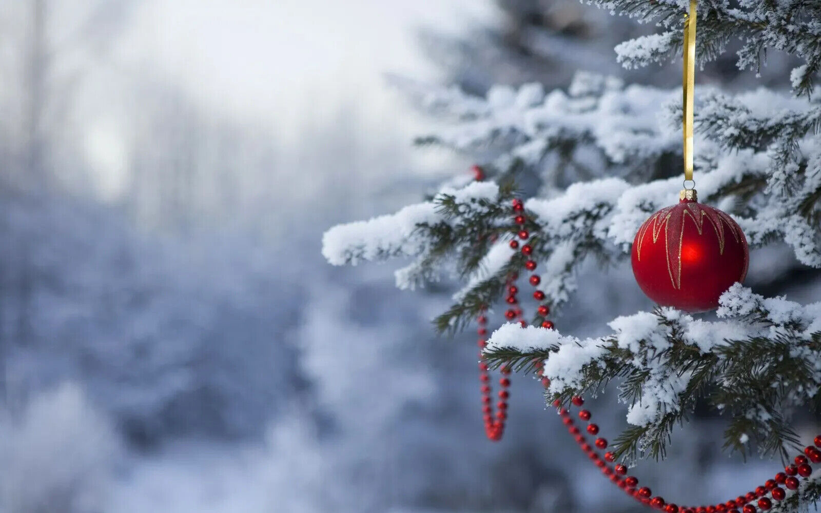 Red Christmas Ornament on Snowy Pine Branch | Winter Forest Photography | Festive Holiday Decor Poster - Photography Poster