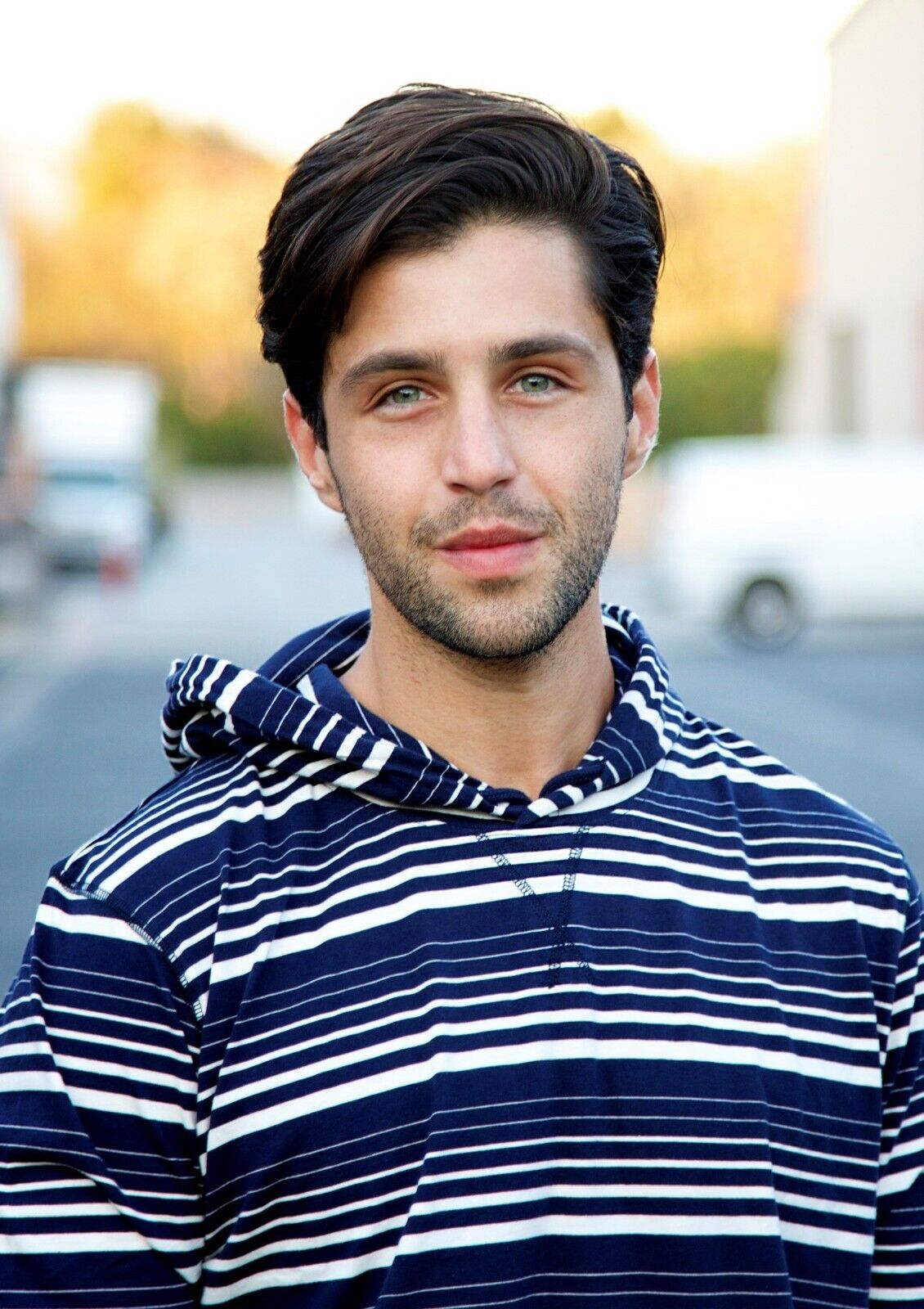 Josh Peck Print | Actor Poster - Celebrities Poster