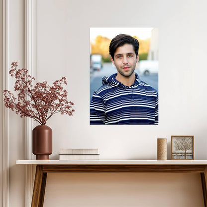 Josh Peck Print | Actor Poster - Celebrities Poster