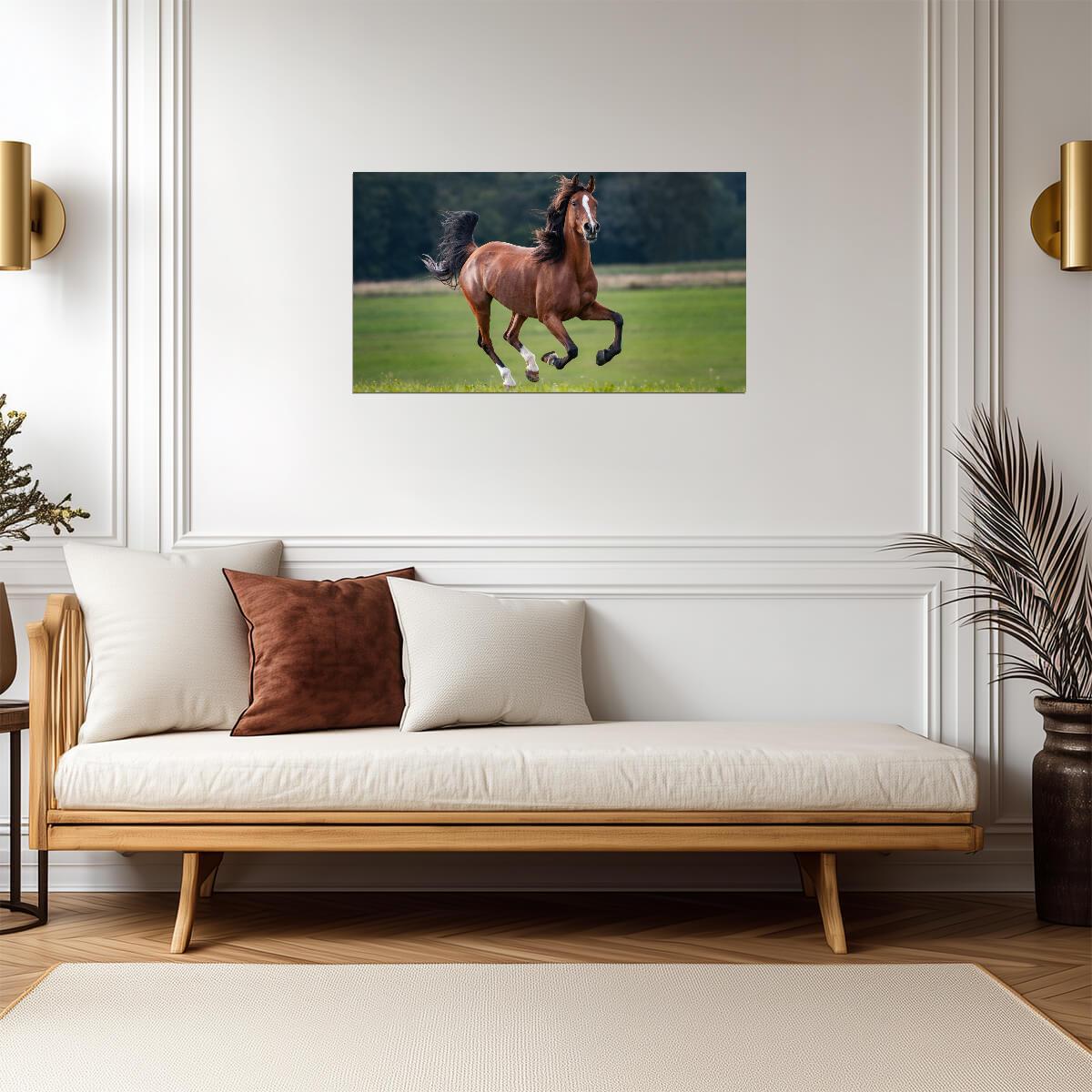 Horse | Running Horse Art | Decor Poster - Photography Poster