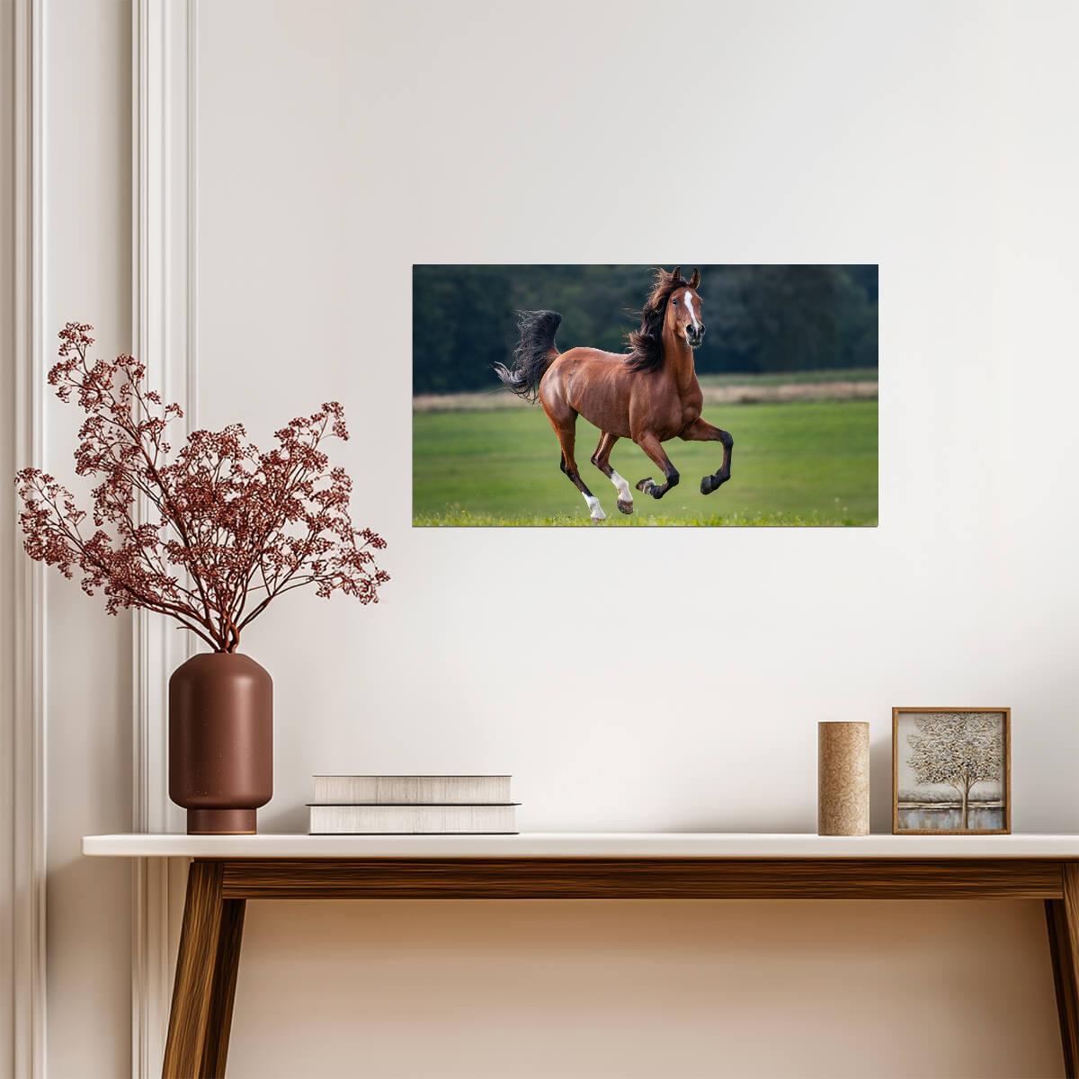 Horse | Running Horse Art | Decor Poster - Photography Poster