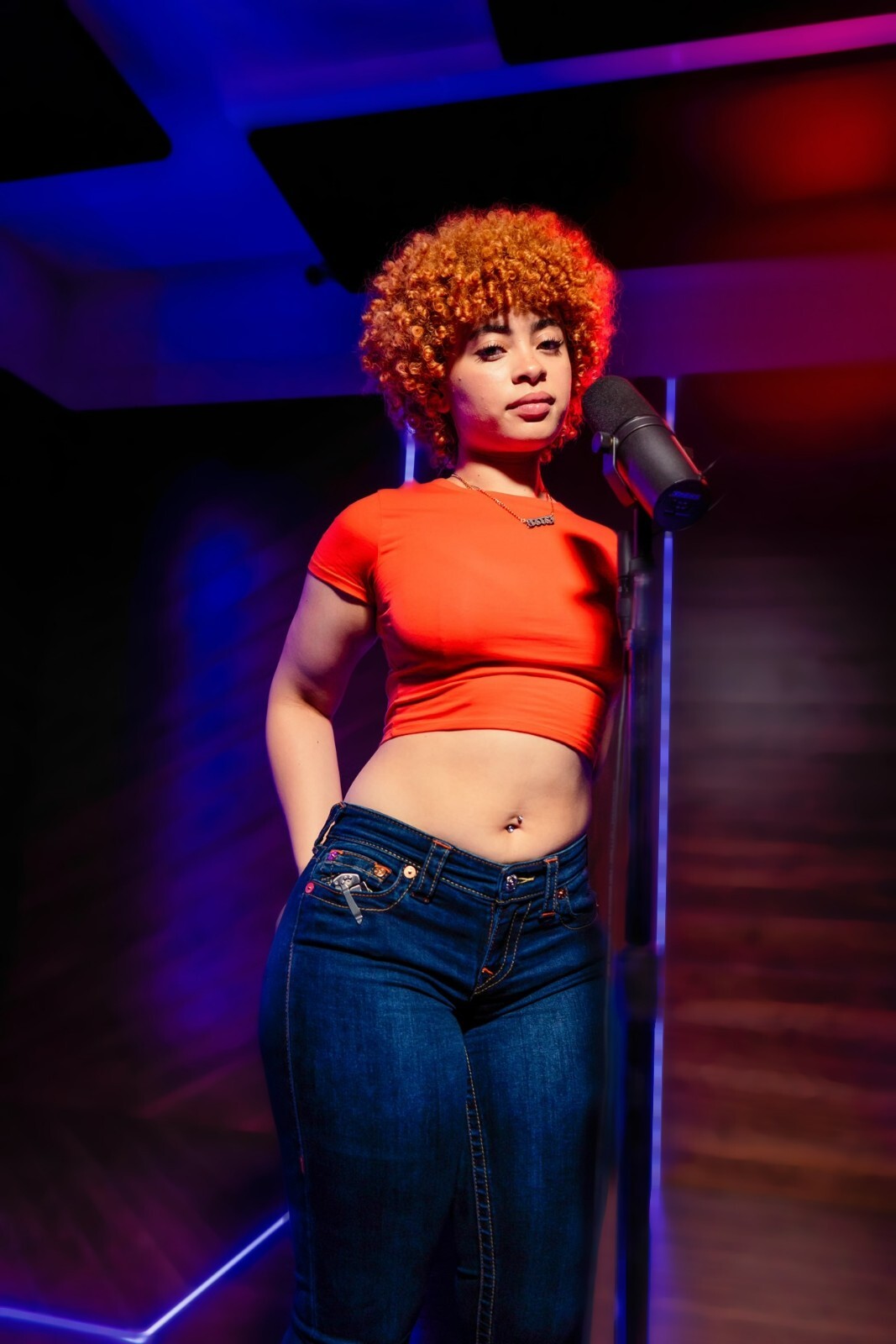 Ice Spice Live | Stage Performance | Music Poster - Music Poster