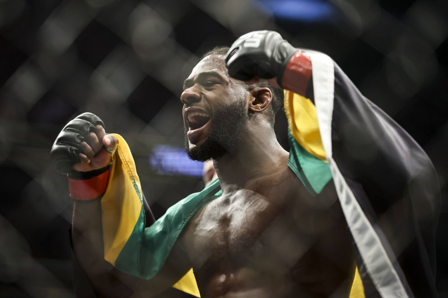 Aljamain Sterling | Mixed Martial Arts Star | UFC Poster - Sports Poster