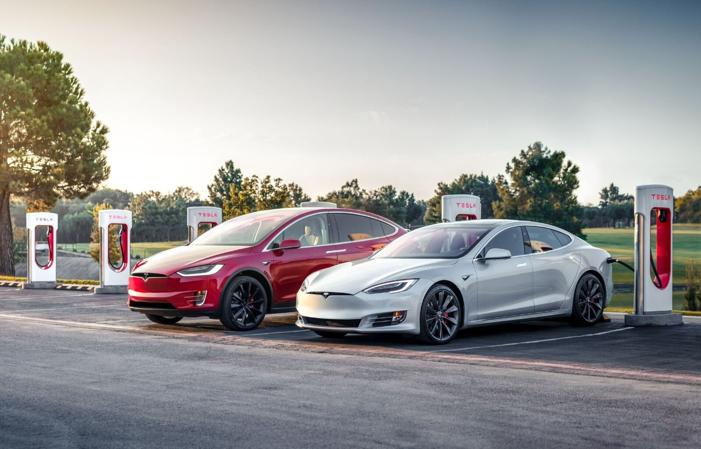 Tesla Model S and Model X | Electric Cars at Supercharger Station | EV Charging Poster - Cars Poster