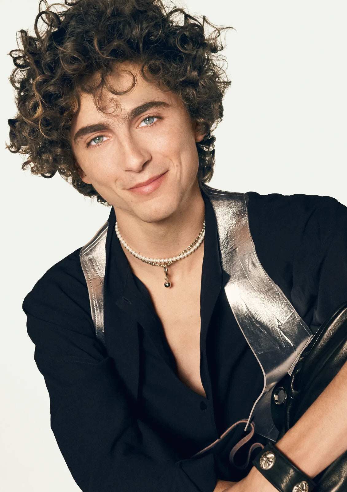 Timothee Chalamet Fashion Photoshoot | Modern Actor Poster | Celebrity Wall Art - Celebrities Poster