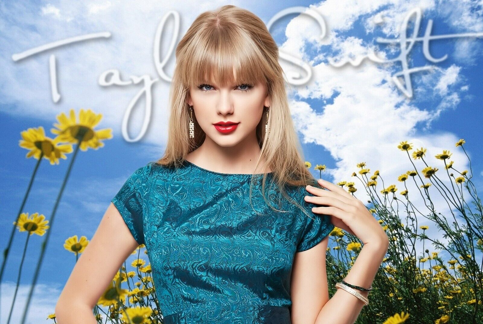 Taylor Swift Daisy Field Photo | Music Star Art Print | Celebrity Wall Poster - Music Poster