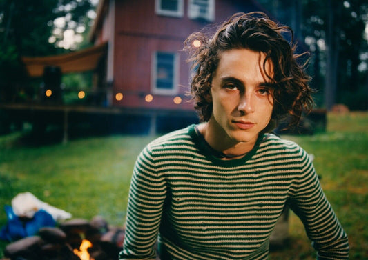 Timothée Chalamet Green Sweater | Outdoor Campfire Portrait | Celebrity Fan Gift Poster - Celebrities Poster