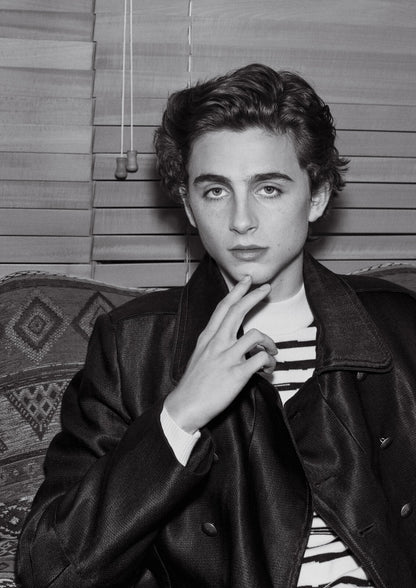 Timothée Chalamet Leather Jacket | Black and White Portrait | Celebrity Actor Poster - Celebrities Poster