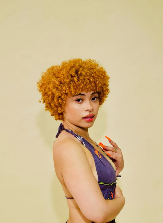 Ice Spice | Rap Queen | Music Lover Poster - Music Poster