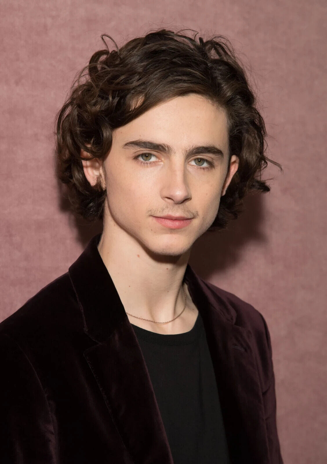 Timothée Chalamet Velvet Jacket | Close Up Portrait Photo | Celebrity Fan Art Poster - Celebrities Poster