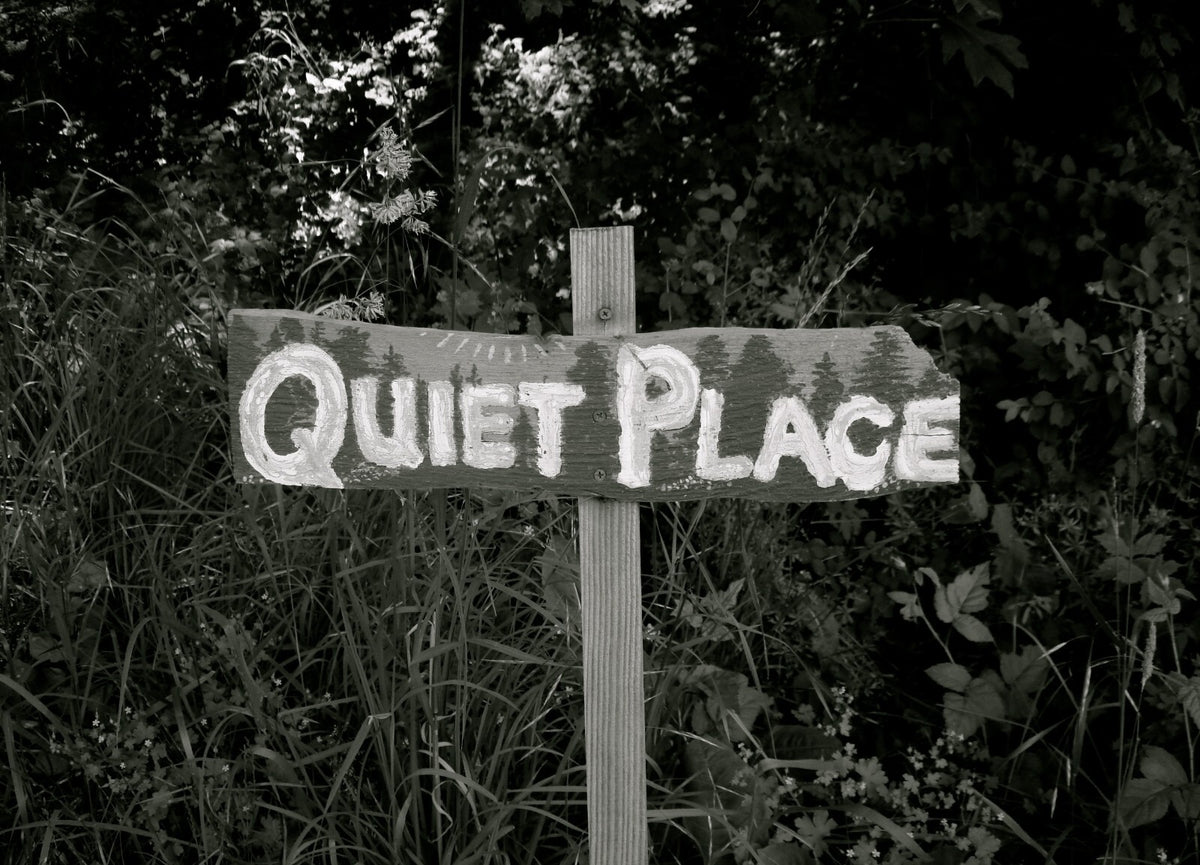 A Quiet Place Poster | Wooden Sign in the Forest Photo Print - Movies & TV Poster