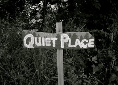 A Quiet Place Poster | Wooden Sign in the Forest Photo Print - Movies & TV Poster