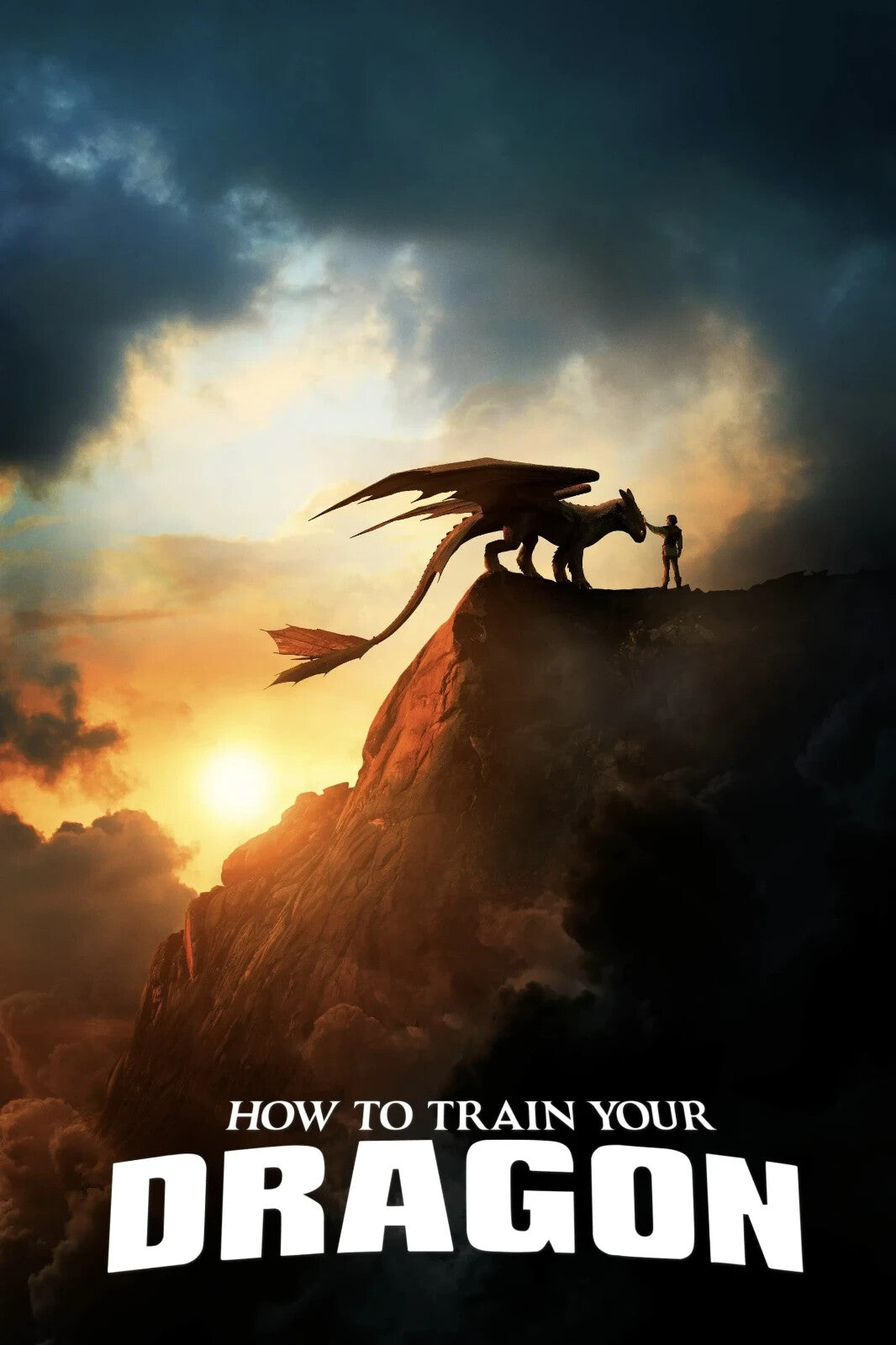 How to Train Your Dragon 2025 Movie Poster | Hiccup and Toothless on the Cliff - Movies & TV Poster
