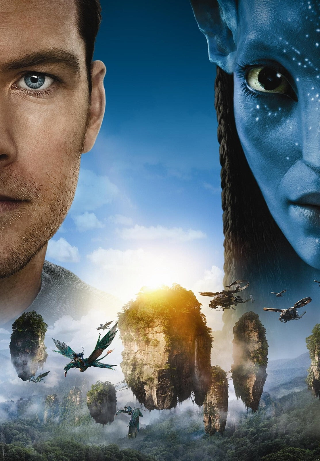 Avatar 2009 Movie Poster | Jake Sully and Neytiri - Movies & TV Poster