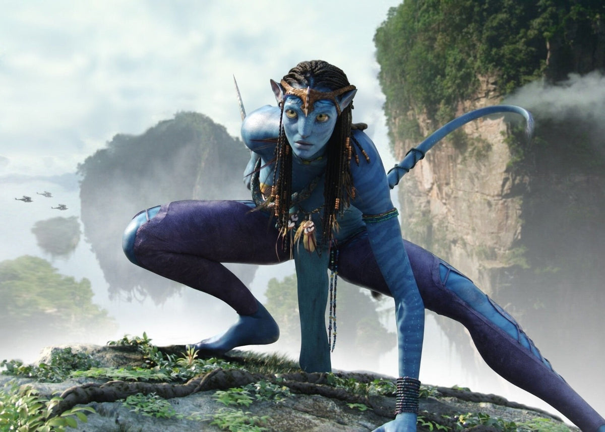 Avatar 2009 Movie Poster | Neytiri Crouching on a Mountain Ledge - Movies & TV Poster