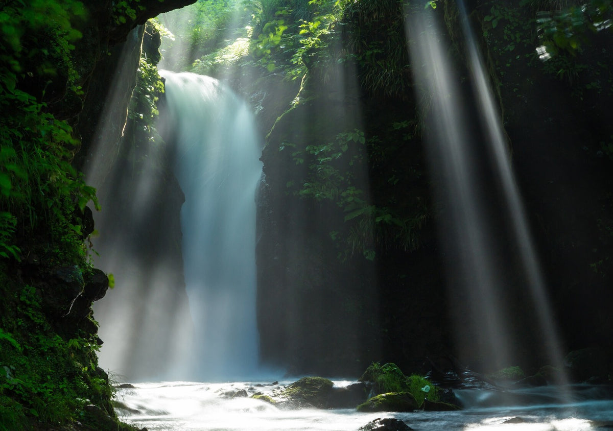 Sunlit Waterfall Photography Poster | Tropical Gorge and Forest Canopy - Photography Poster