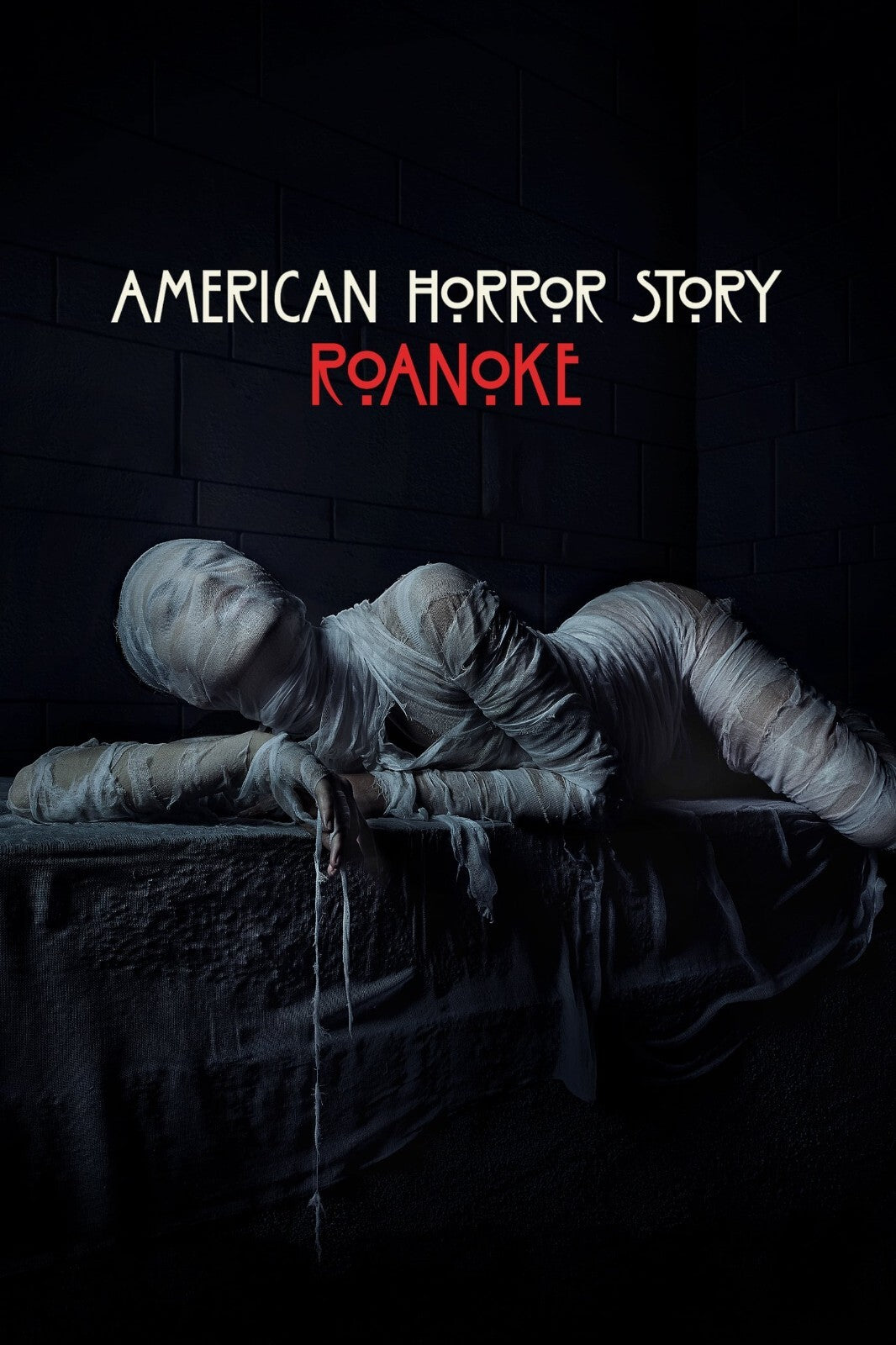 American Horror Story Roanoke Poster | Wrapped Figure | Horror Series Print - Movies & TV Poster