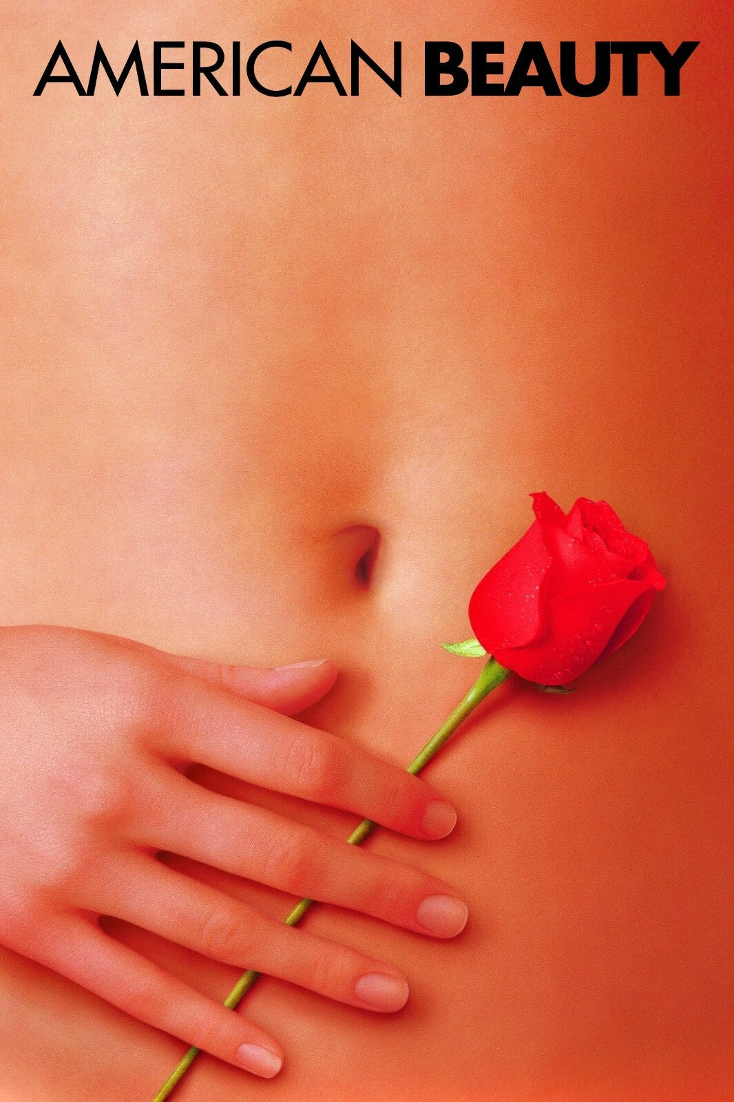 American Beauty 1999 Movie Poster | Hand Holding a Red Rose - Movies & TV Poster