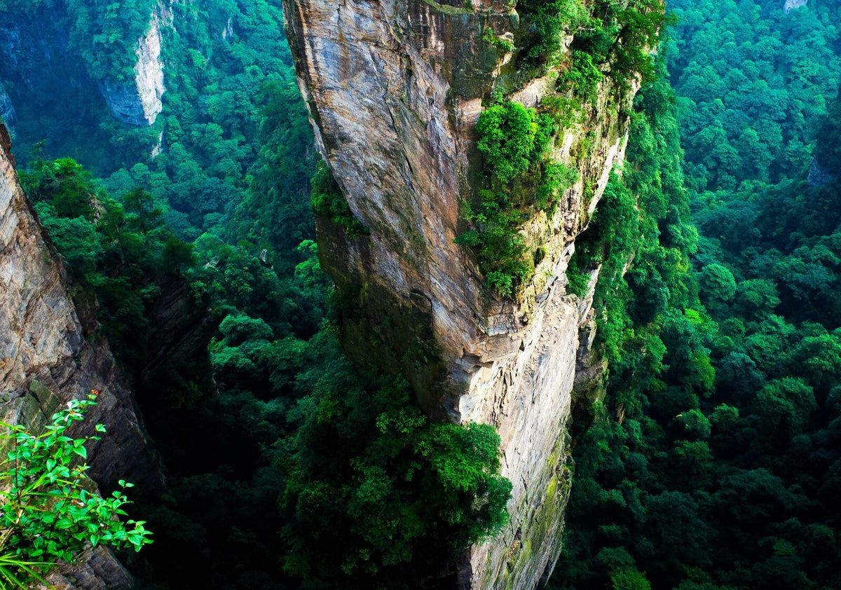 Zhangjiajie China Poster | Forested Sandstone Cliffs Photo Print - Photography Poster