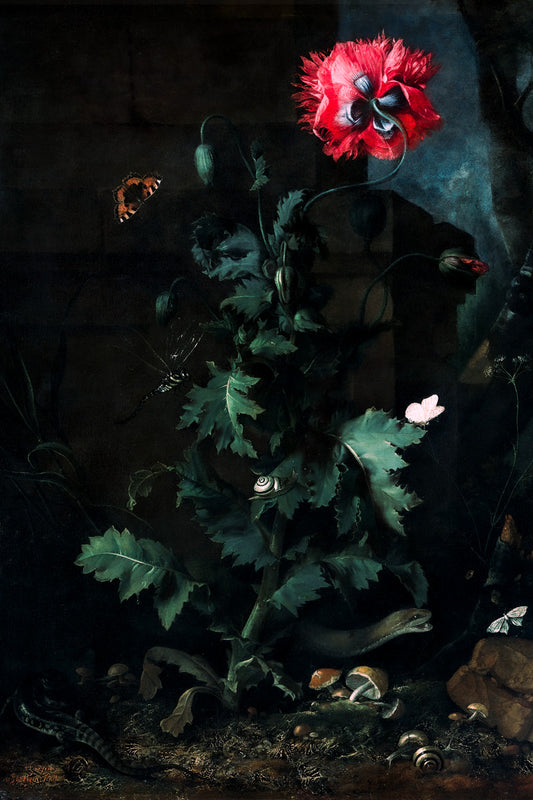 Red Poppy with Butterfly | Dark Floral Art Print Poster
