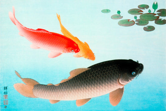 Koi Fish and Water Lilies | Japanese Zen Painting Print Poster