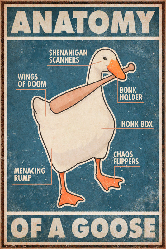 Anatomy of a Goose | Retro Duck Comic Wall Art Poster