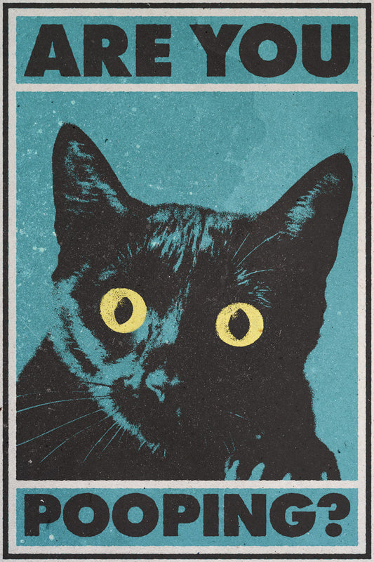 Are You Pooping | Black Cat Funny Bathroom Wall Print Poster