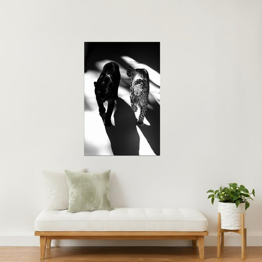 Leopard & Panther Duo in Shadows | Artistic Black & White Jungle Cat Print Poster