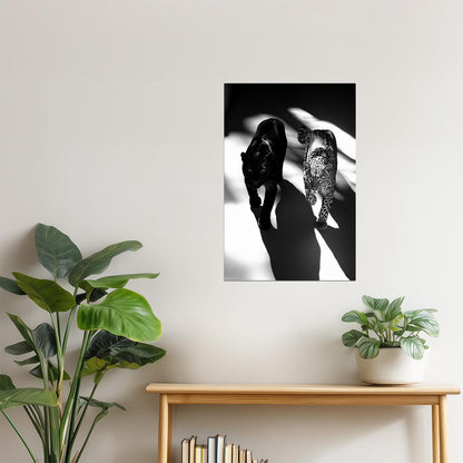 Leopard & Panther Duo in Shadows | Artistic Black & White Jungle Cat Print Poster