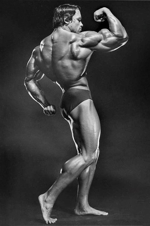 Arnold Schwarzenegger Bodybuilding Pose | Fitness Icon Poster | Vintage Gym Wall Art