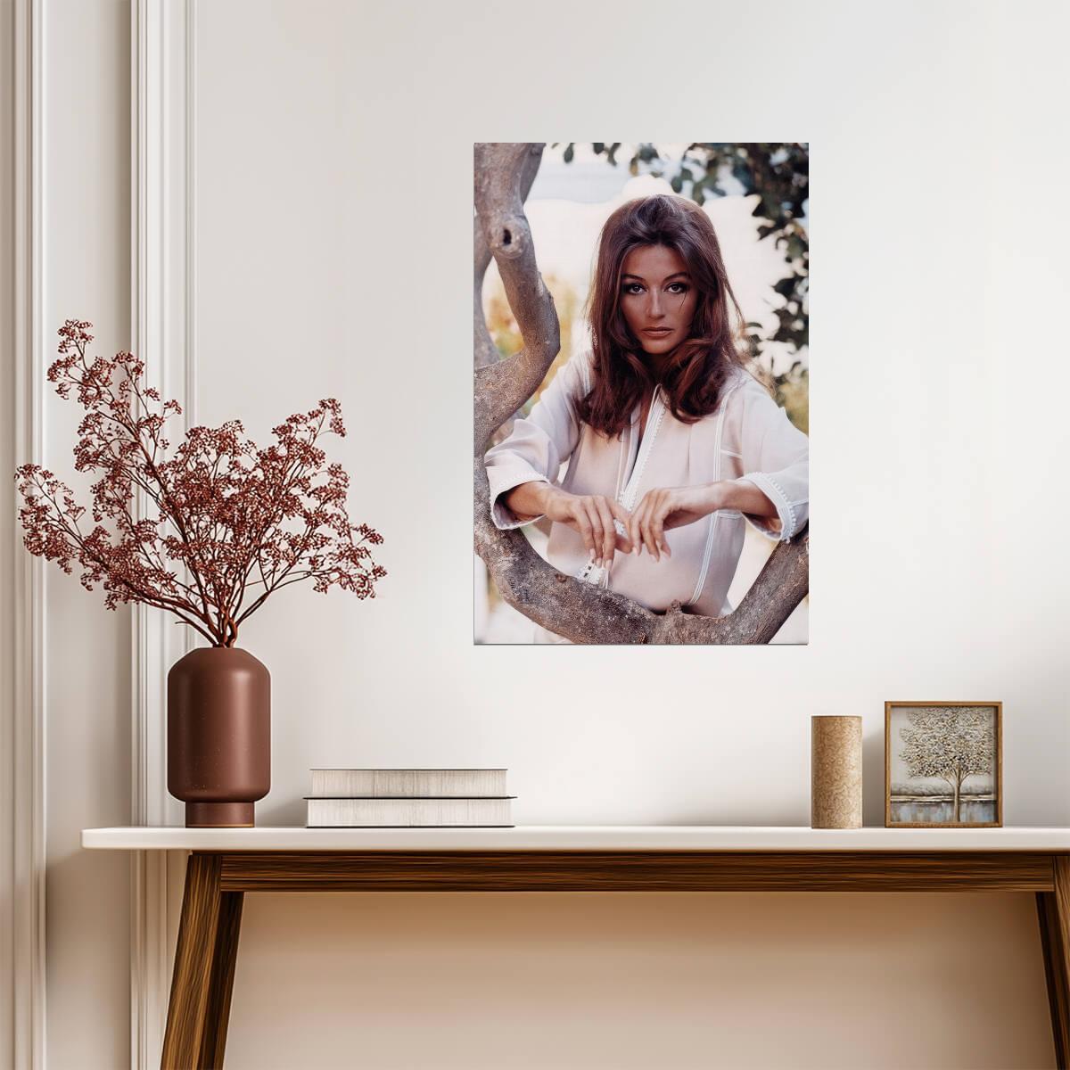 Anouk Aimee Portrait Poster | Actress Wall Art Print - Celebrities Poster