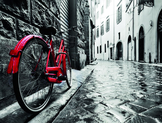 Red Bicycle on a Rainy Street | Vintage Urban Photography | Black and White Poster