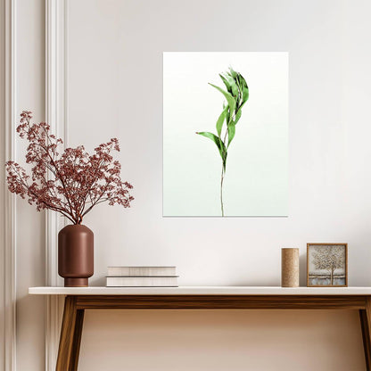 Minimalist Bamboo Leaf | Modern Botanical Photography | Scandinavian Greenery Poster
