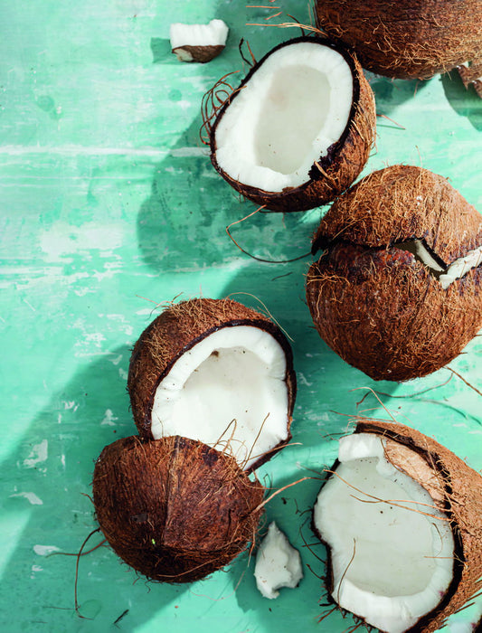 Rustic Coconut Still Life | Tropical Kitchen Photography | Vintage Food Art Poster