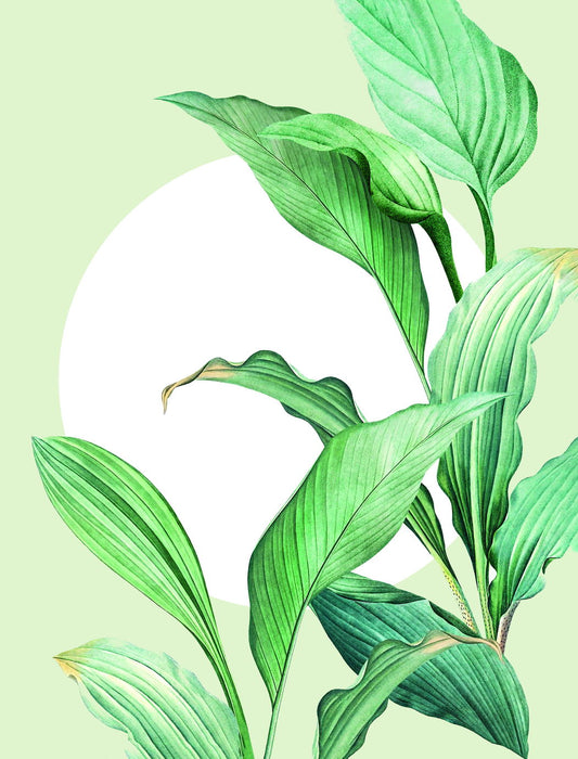 Green Botanical Leaf | Minimalist Nature Art Print | Fresh Plant Wall Poster