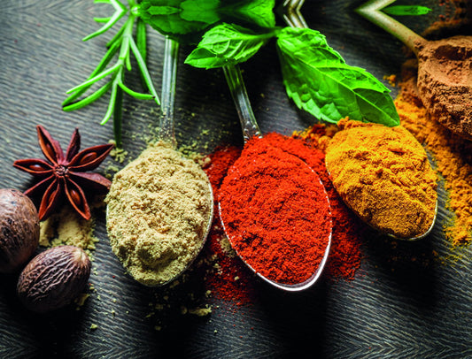 Assorted Spices in Spoons | Culinary Photography Print | Vibrant Kitchen Poster